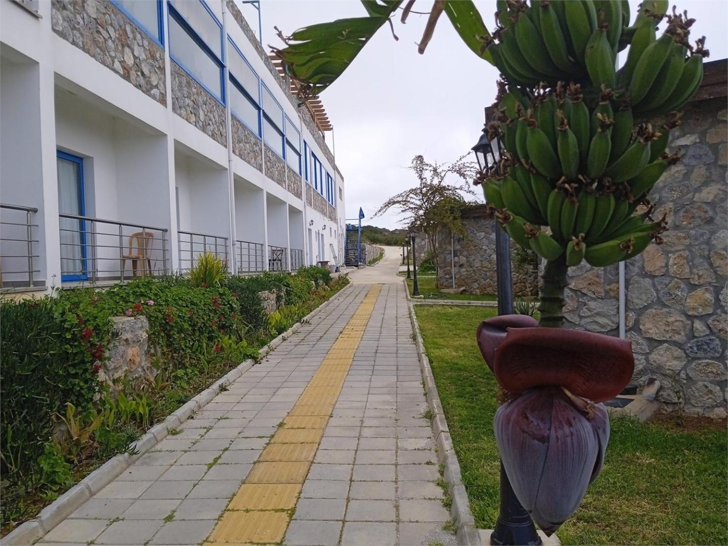 Ardic Agaci Holiday Village Famagusta  Exteriér fotografie
