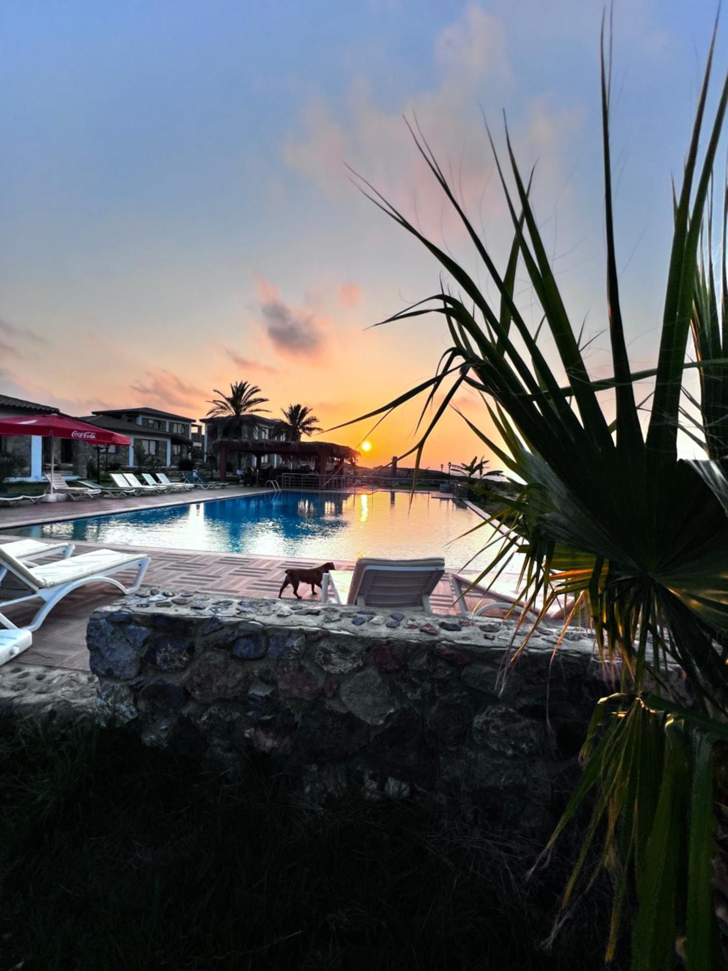 Ardic Agaci Holiday Village Famagusta  Exteriér fotografie